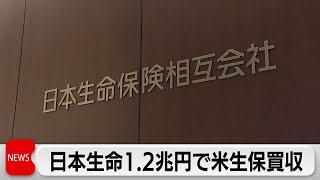 Nippon Life Insurance to acquire resolution life for $8.2 bil.