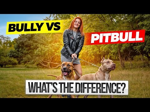 Bully Vs. Pitbull: Key Differences You Need To Know Before Choosing Your Dog
