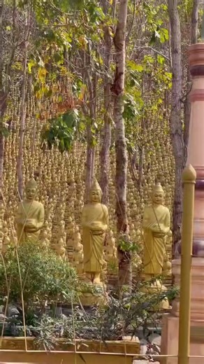 39K views · 4K reactions | The 84,000 Buddha statues at Buddha Kiri, Cambodia, represent the 84,000 overall Dhamma teachings. | InnerDhamma | Facebook