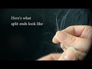Cutting my split ends - what split ends look like
