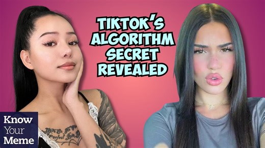 1.9K views · 16 reactions | TikTok's algorithm secrets are being revealed and it's making some users feel... less than pretty. | Know Your Meme | Facebook