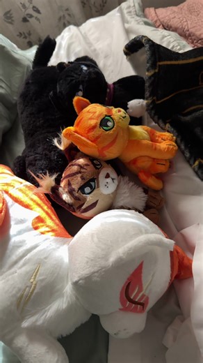 #warriorcats #fyp