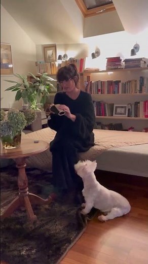 Manual Roller Shutters - What are the benefits?