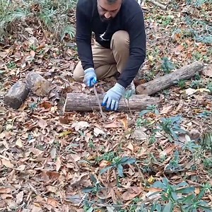 1.2K views · 27 reactions | Escape from the brown bear. Building a safe, warm and strong tree shelter on a broken tree fire food | Bushcraft WORLD | Facebook