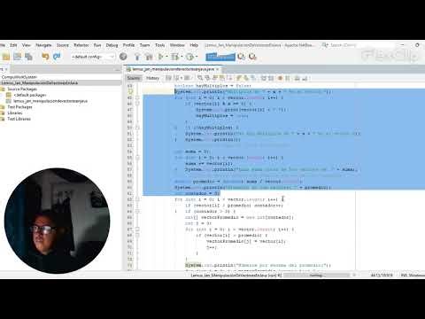 Lemus Jan Manipulación de Vectores en Java