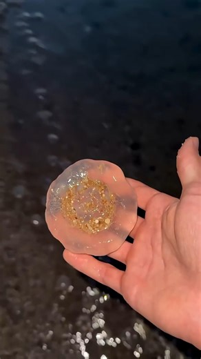 🌊 Janko i Anna na plaži ali Meduze svuda oko njih!