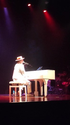 empty garden - mizinho carvalho em elton john diamonds