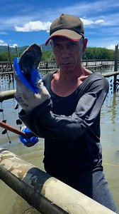 9.2K reactions · 64 shares | Grabeng taba ng talaba #reelsviral #reelsviralシ #reelsviralシfb #videoviral #contentcreator #plssfollowandshare | Carl Lister Delos Santos | Facebook