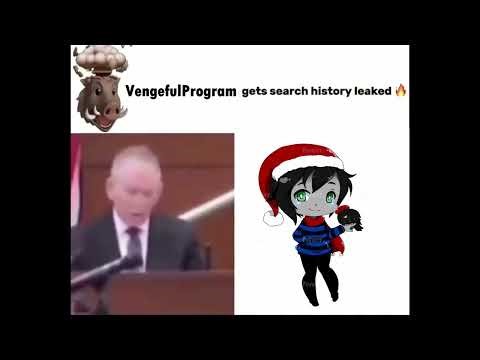 VengefulProgram Search History