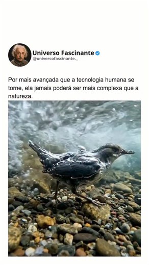 Universo Fascinante | 🚨Cuidado, seguir essa página te deixará mais inteligente! ... A engenharia humana frequentemente busca inspiração na natureza, mas a... | Instagram