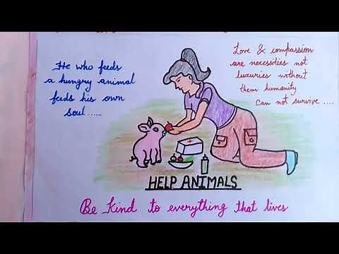 Poster making on BE KIND TO ANIMALS #EVS Project on Chart Paper #