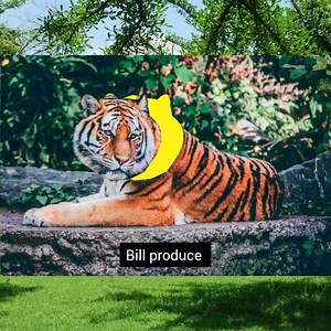 El 99% falla #desafio #mundo #persona #falla | Bill Produce