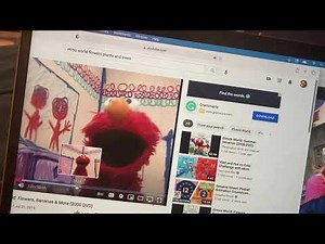 Elmo world flowers bananas and more quiz