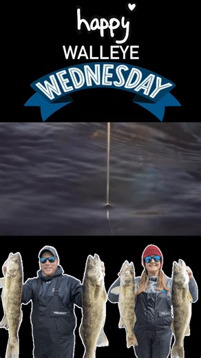 15 reactions · 4 comments | 﫵Happy Walleye Wednesday﫵 | Canadian Fishing Network | Facebook