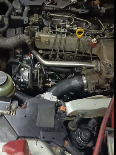 Identifying the Noise in a Toyota Quantum D4D