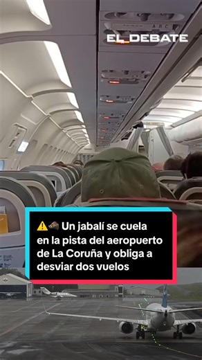 Incidente en el aeropuerto de La Coruña con un jabalí