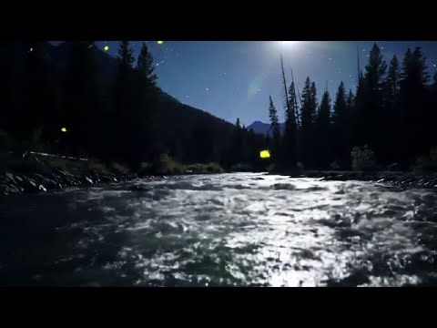 ASMR Night River & Firefly Sounds - Deep Sleep & Mind Relaxation