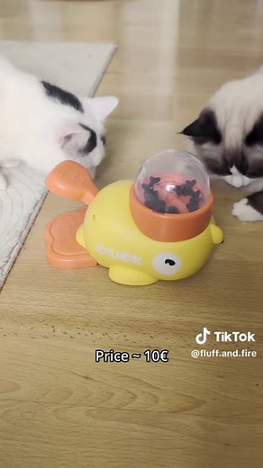 Cat Product Rated 7/10: Pros and Cons Explained