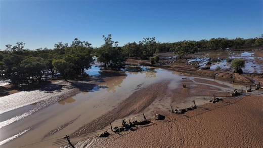 203 reactions · 34 shares | With out fences farmers can't run and...