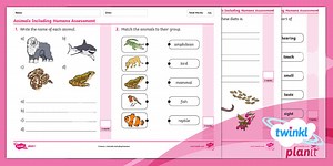 Science: Animals Including Humans: Year 1 Assessment Test