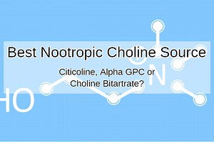 Best Choline Supplement Source: Citicoline, Alpha-GPC, or Choline Bita