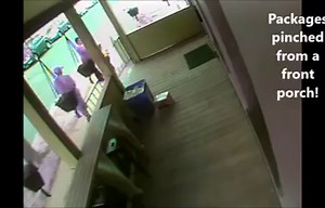11K views · 26 reactions | #EXCLUSIVE: A package thief caught on camera... Just wait until you see who else tagged along for this crime spree! Details tonight, on Channel 3 at 11 | WFSB - Channel 3 Eyewitness News | Facebook