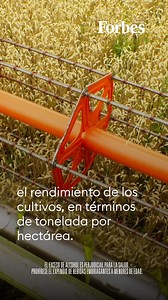 Bavaria anunció la ampliación de su programa “Siembra Bavaria” para vincular a más agricultores de cebada a su proceso de producción y para reafirmar su compromiso con el agro colombiano e impulsar la competitividad. El programa ha beneficiado a más de 800 familias en Boyacá, Nariño y Cundinamarca con capacitación, maquinaria y acceso a financiación para la producción de cebada de calidad y, desde 2017 ya han logrado cosechar más de 30.000 toneladas de cebada. En la última década, Bavaria ha inv