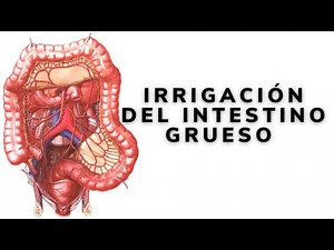 IRRIGACIÓN DEL INTESTINO GRUESO