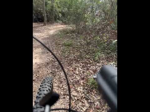 Riding Cypresswood MTB Trails on Polygon Siskiu T8