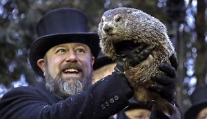 'Tradition is no excuse for cruelty': PETA calls for a robot to replace Punxsutawney Phil as groundhog