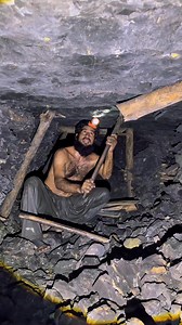 Hidden Life on Reels