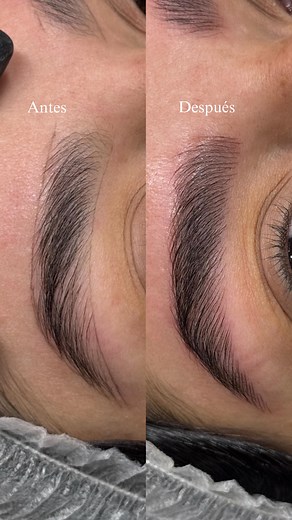 Natalia Rincon | Dermopigmentación on Instagram: "Le di una segunda oportunidad al pelo a pelo… después de decir que nunca lo haría y así logramos desarrollar la técnica más natural de nanoblading Organic Brows #cejas #cejasperfectas #ultrabeauty #organicbrows #peloapelo #microblading #cejaspeloapelo #nanoblading"