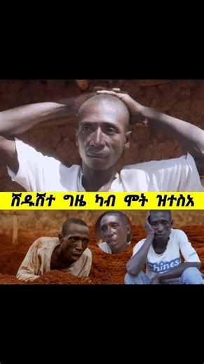 148K views · 3K reactions | ሽዱሽተ ግዜ ሞይቱ ዝተስአ ኣፍሪቓዊ #ethiopian_tik_tok #eritreancomedy #ethiopianwomen #habeshastyle #habesha #eritreanwedding | Azmarino ኣዝማሪኖ TV | Facebook