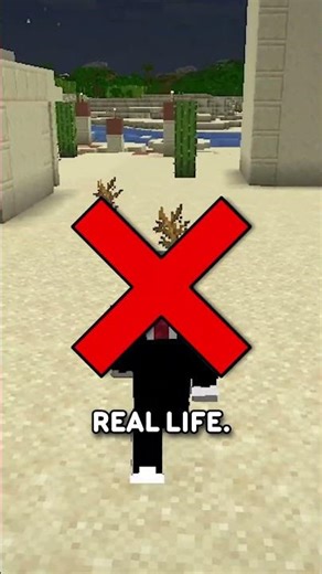 Sea Pickles Are NOT The Rarest Block...