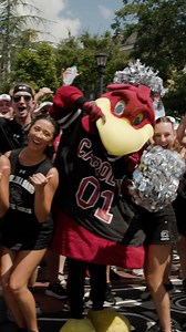 71K views · 2K reactions | Wishing we could bottle up the energy on campus today and send it to Gamecocks everywhere. 朗 Happy Gamecock Football eve! | University of South Carolina | Facebook