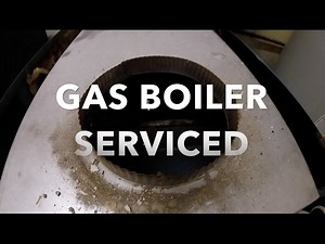 GAS BOILER CLEANED AND SERVICED