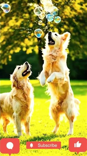 🐾💚 Adorable Dogs Playing with Soap Bubbles | Cute Dog Sounds | Adorable Puppy #shortsviral #shorts