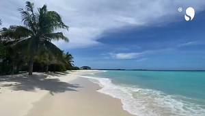 1K views · 56 reactions | If you are all dreaming of white sandy beaches and crystal clear oceans as much as we are, feel free to join us today on an island tour of paradise at ROBINSON Club Noonu | ROBINSON | Facebook