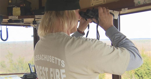 DCR fire tower operators on alert amid dry conditions