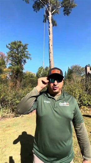 Same Day Tree Removal | Atlanta GA