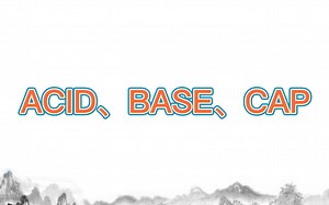 5月15日 ACID-BASE-CAP理论