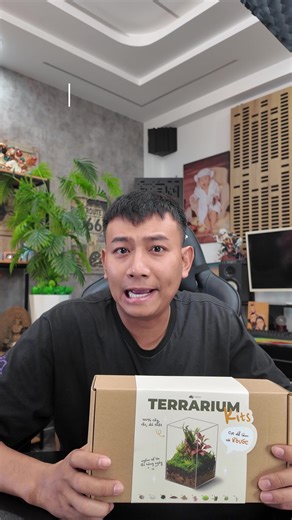 Hướng dẫn tự làm bể terrarium đơn giản và đẹp