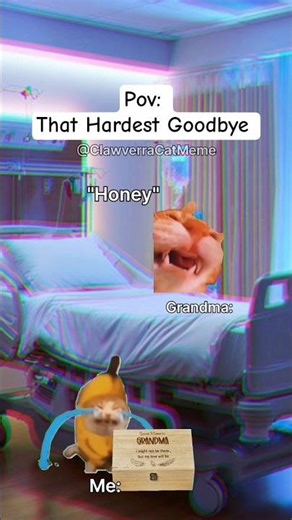 Cat Memes 😺 That Hardest Goodbye #catmemes #relatable #relationship #shorts