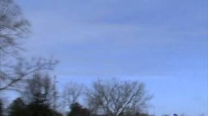 GO ROBOT IT'S YOUR BIRTHDAY Lyrics - MC CHRIS | eLyrics.net