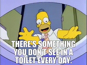 There's something you don't see in a toilet every day.