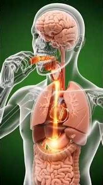 What happens while Eating Date Inside of your body