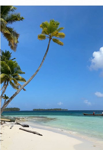 Welcome to heaven 🏝️ Did you know this paradise is made up of 365 islands off the coast of Panama? 🤯 Turquoise waters, untouched white-sand beaches, and the incredible culture of the Guna Yala people — this place is nothing short of a dream. 🌊 For me, it was the most beautiful place of my entire Panama trip. 🤍