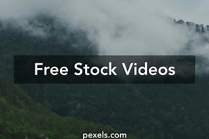 Cloud Forest Videos, Download The BEST Free 4k Stock Video Footage & Cloud Forest HD Video Clips