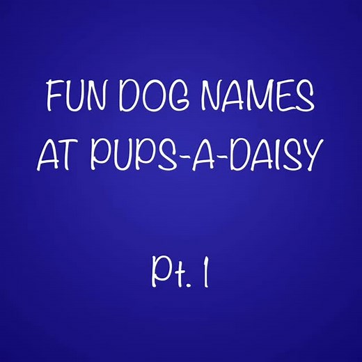 Every name tells a story—some just happen to bark louder than others. | Pups-A-Daisy