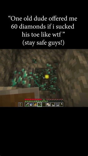 Minecraft Advanced Humor | high block knowledge needed |